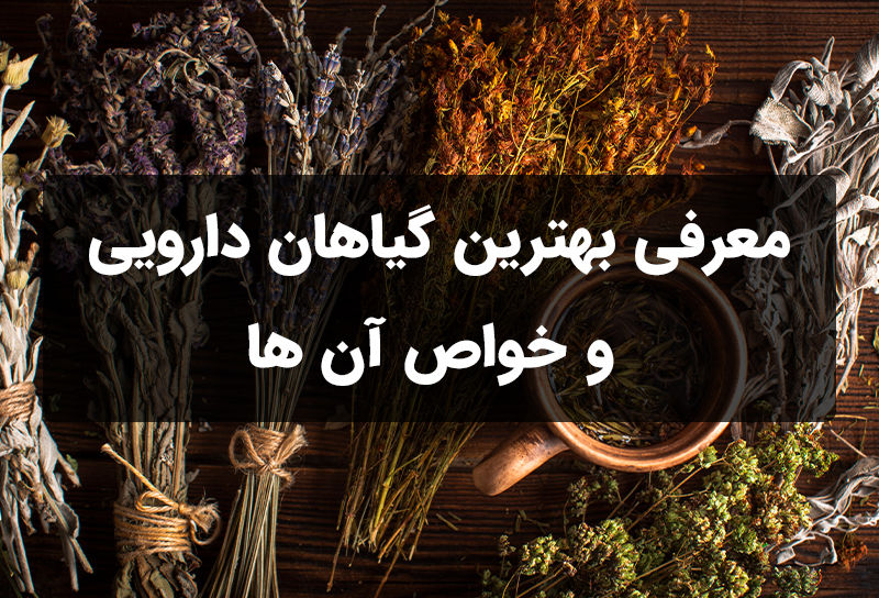 معرفی بهترین گیاهان دارویی و خواص درمانی آن‌ها برای سلامت بدن